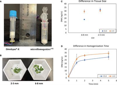 Advancing the automation of plant nucleic acid extraction for rapid diagnosis of plant diseases in space